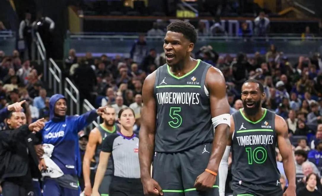 爱游戏官网-明尼苏达森林狼队