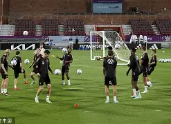 爱游戏官网-博阿维斯对阵本菲卡