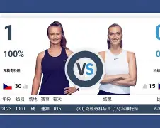 爱游戏app-科维托娃连续三场比赛得分超过晋级李娜怒砍29分，媒体一致点评：德约科维奇在TL比赛中官方发布新规